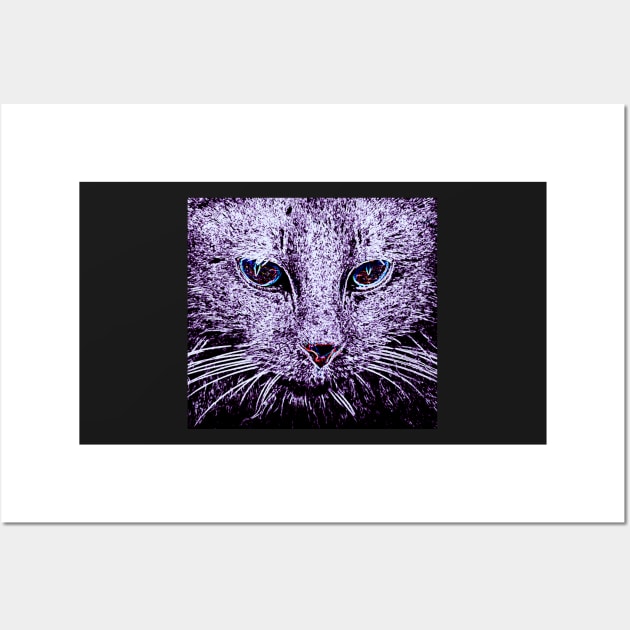 Cat Gazing Wall Art by Mihadom